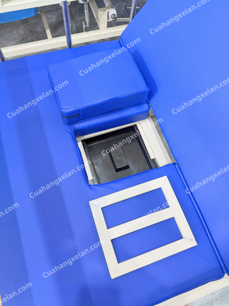 Giường y tế Mintra 01B