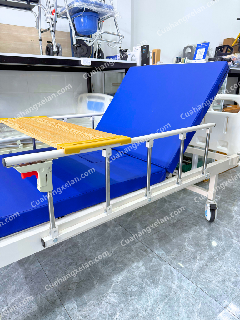 Giường y tế Mintra 01B