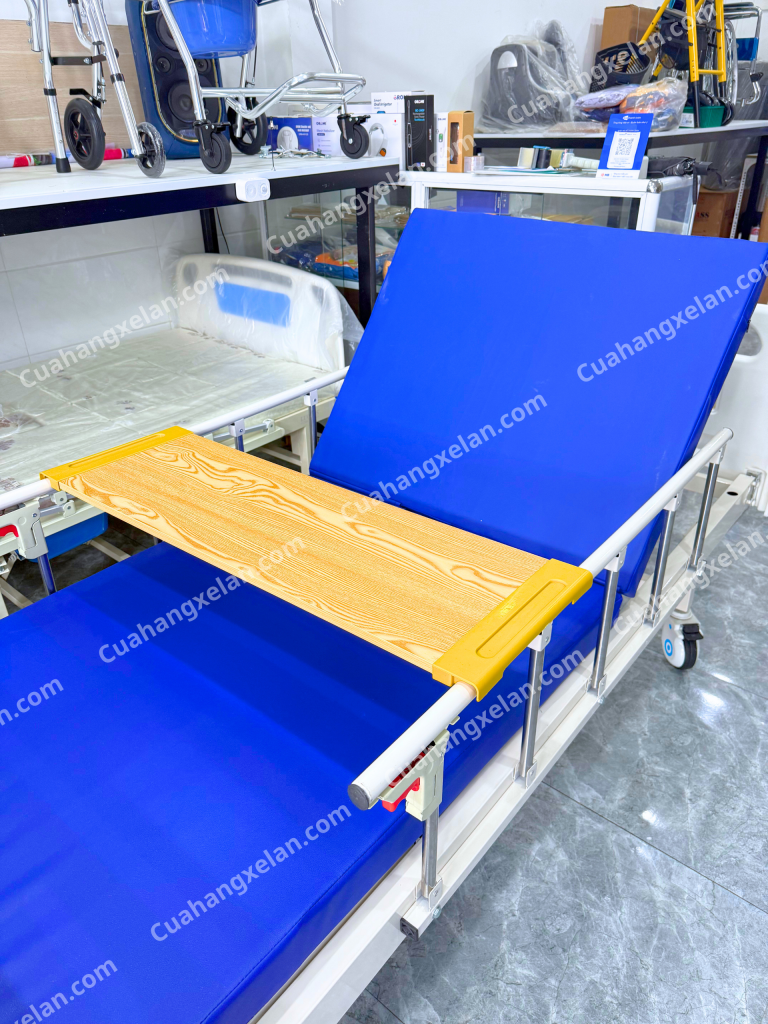 Giường y tế Mintra 01B