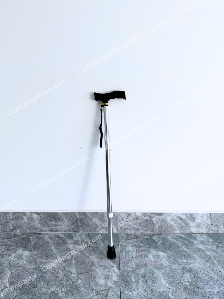 Gậy tập đi Lucass Y20