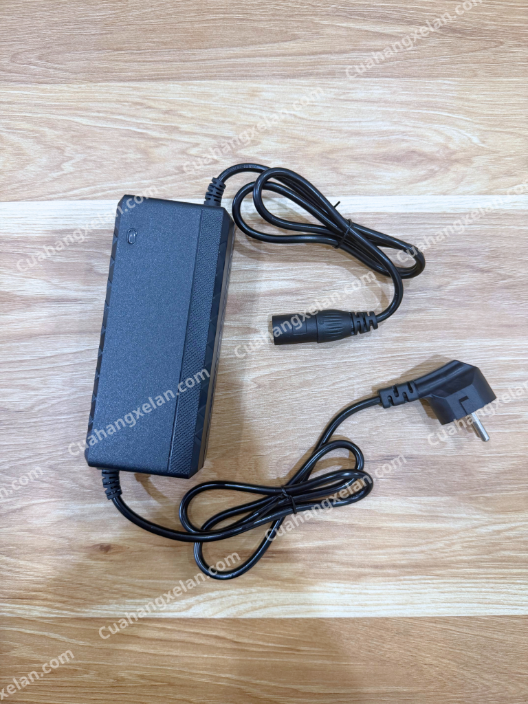 Sạc ắc quy xe lăn điện/Phụ tùng xe lăn điện tại Đà Nẵng