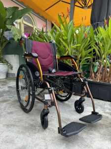 XE LĂN LUCASS X65 ĐÀ NẴNG