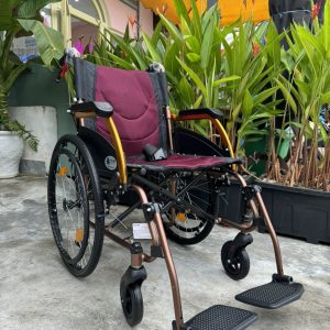 XE LĂN LUCASS X65 ĐÀ NẴNG