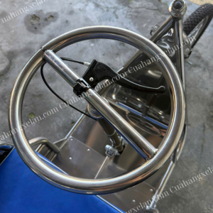 Xe lăn lắc Đà Nẵng