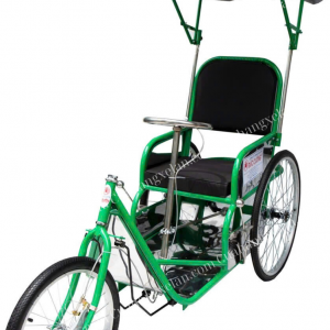 Xe lăn lắc tại Đà Nẵng