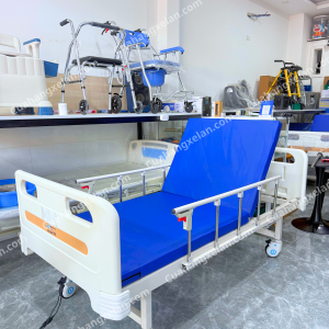 Giường y tế Mintra 01D