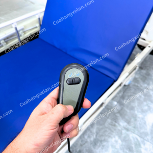 Giường y tế Mintra 01D